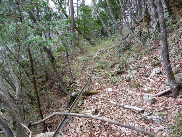 ���͐X�ѓS��,�ѓS,�p����,����c�я�,�㕔�O��,���[��,�ѓ�,�g���b�R�O��