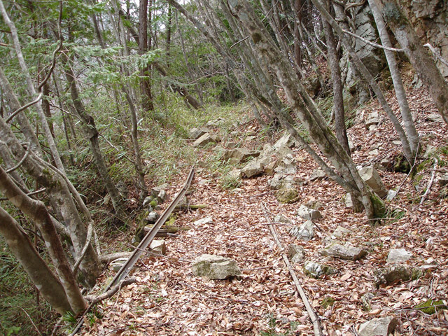 ���͐X�ѓS��,�ѓS,�p����,����c�я�,�㕔�O��,���[��,�ѓ�,���É��c�ы�