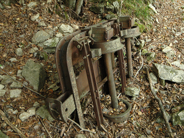 ���͐X�ѓS��,�ѓS,�p����,����c�я�,�㕔�O��,�^�މݎ�,�^�ޑ��