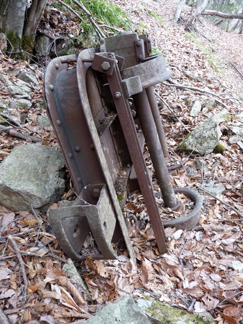 ���͐X�ѓS��,�ѓS,�p����,����c�я�,�㕔��,�^�މݎ�,�^�ޑ��,����`�A����