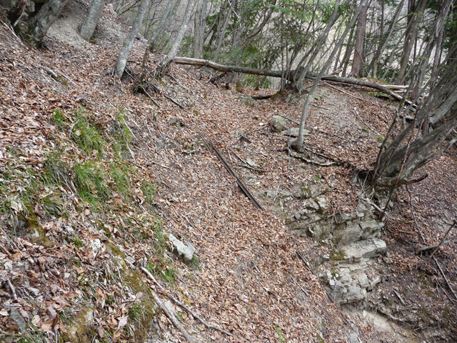 ����X�ѓS�����͐�,�ѓS,�p����,�㕔�O��,����n,�O��