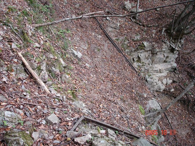 ����X�ѓS�����͐�,�ѓS,�p����,�㕔��,���[��,�O��