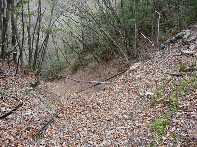 ����X�ѓS�����͐�,�ѓS,�p����,�㕔��,���[��,�O��