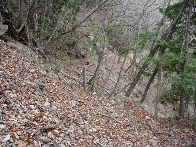 ����X�ѓS�����͐�,�ѓS,�p����,�㕔��,����,�H��