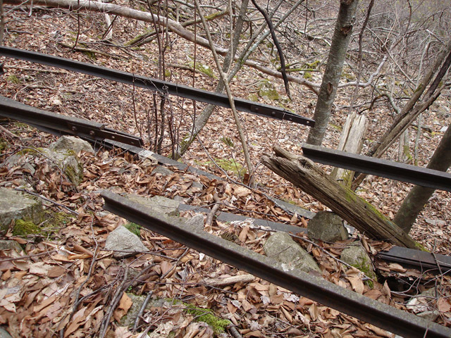 ���͐X�ѓS��,�ѓS,�p����,����c�я�,�㕔�O��,���H,���[��