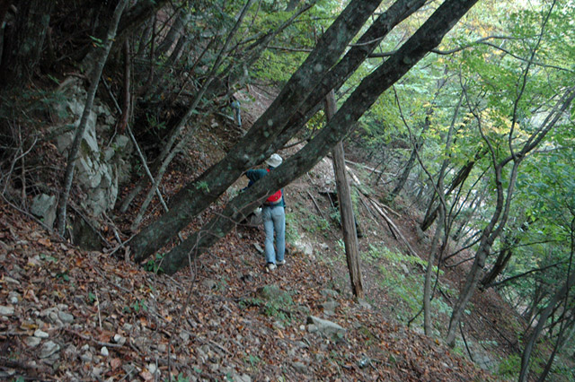 ����X�ѓS�����͐�,�ѓS,�p����,����c�я�,�ʐM��,�؍މ^���O����