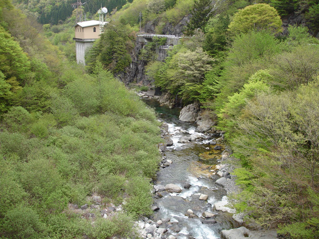 ����X�ѓS�����J�����u���������v