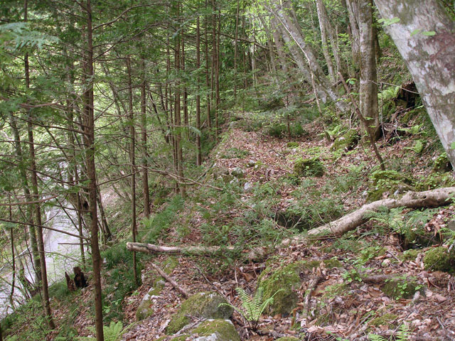 ����X�ѓS�����J���u���������[�Ǖ��v