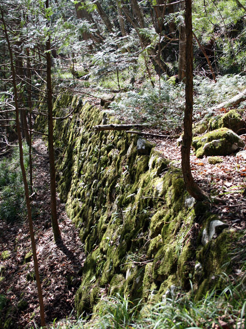 ����X�ѓS�����J���u���������[�Ǖ��v