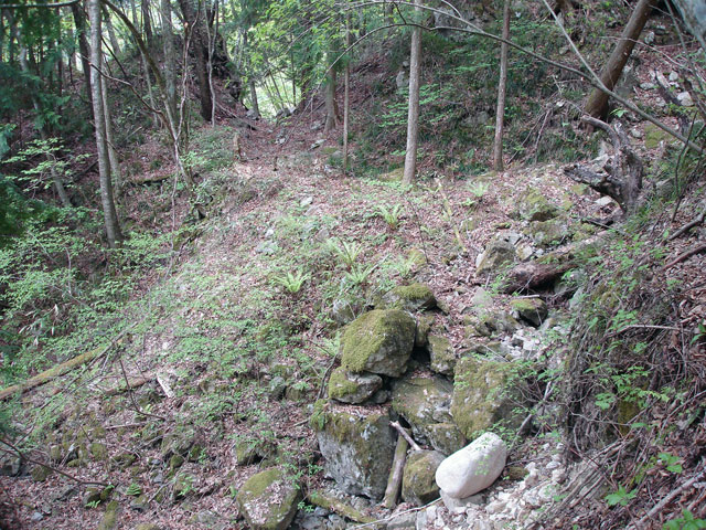 ����X�ѓS�����J���u���������[�Ǖ��v