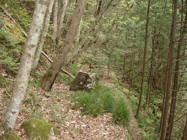 ����X�ѓS�����J���u���������[�Ǖ��v