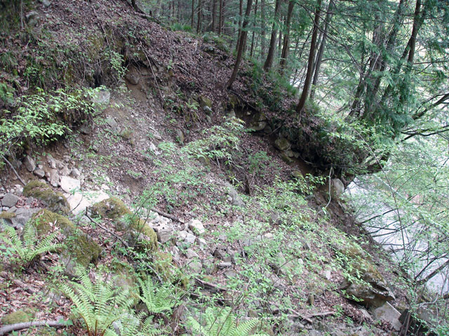 ����X�ѓS�����J���u���������[�Ǖ��v